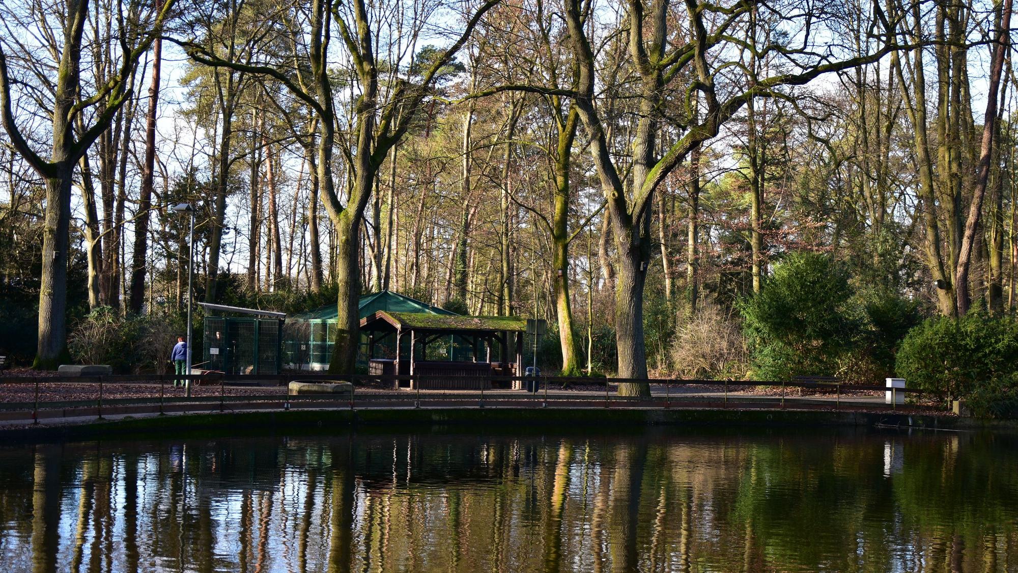 Teich im Waldpark Troisdorf bei Burg Wissem