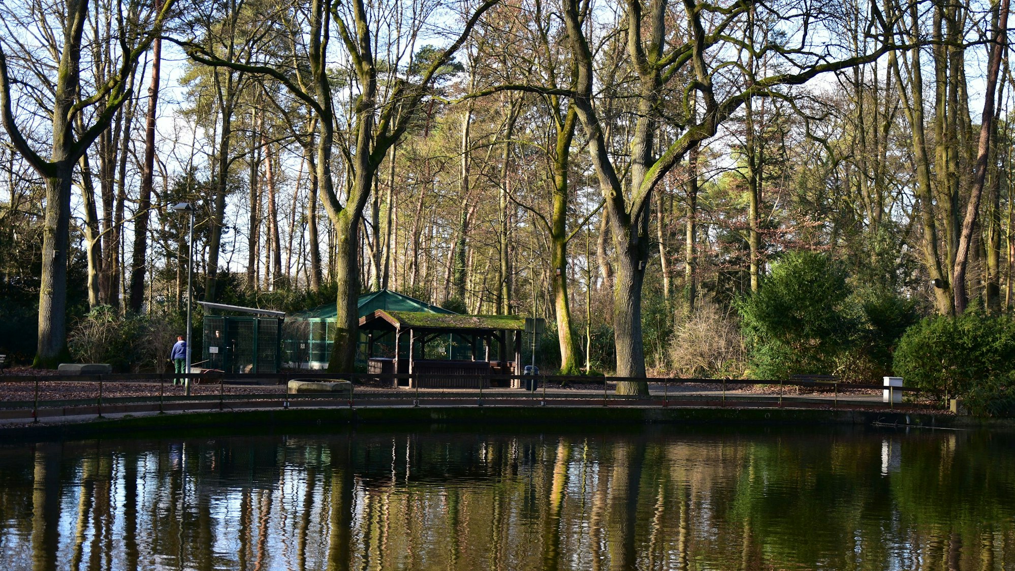 Teich im Waldpark Troisdorf bei Burg Wissem
