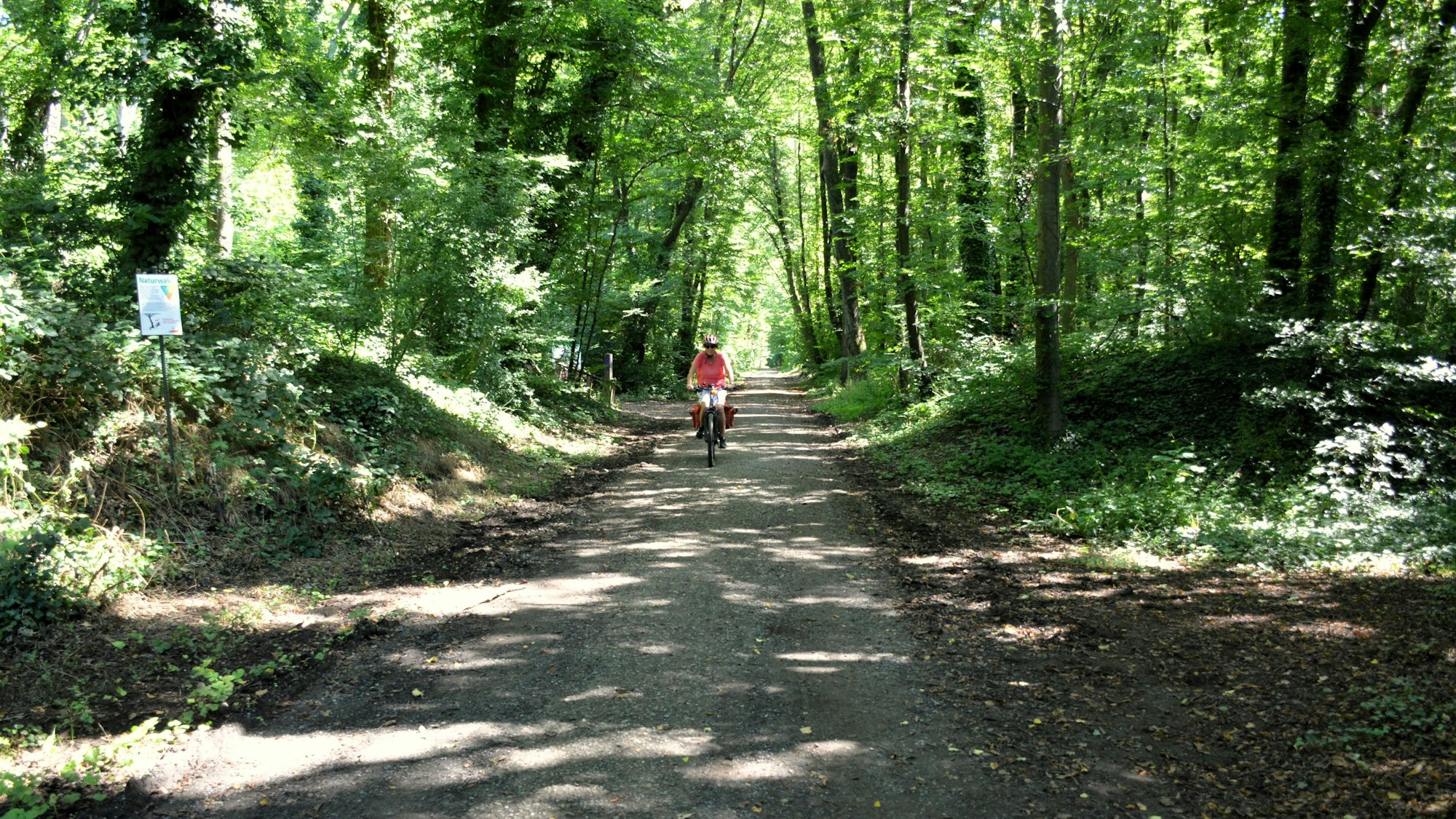 Ohne Autoverkehr geht es durchs Gremberger Wäldchen.