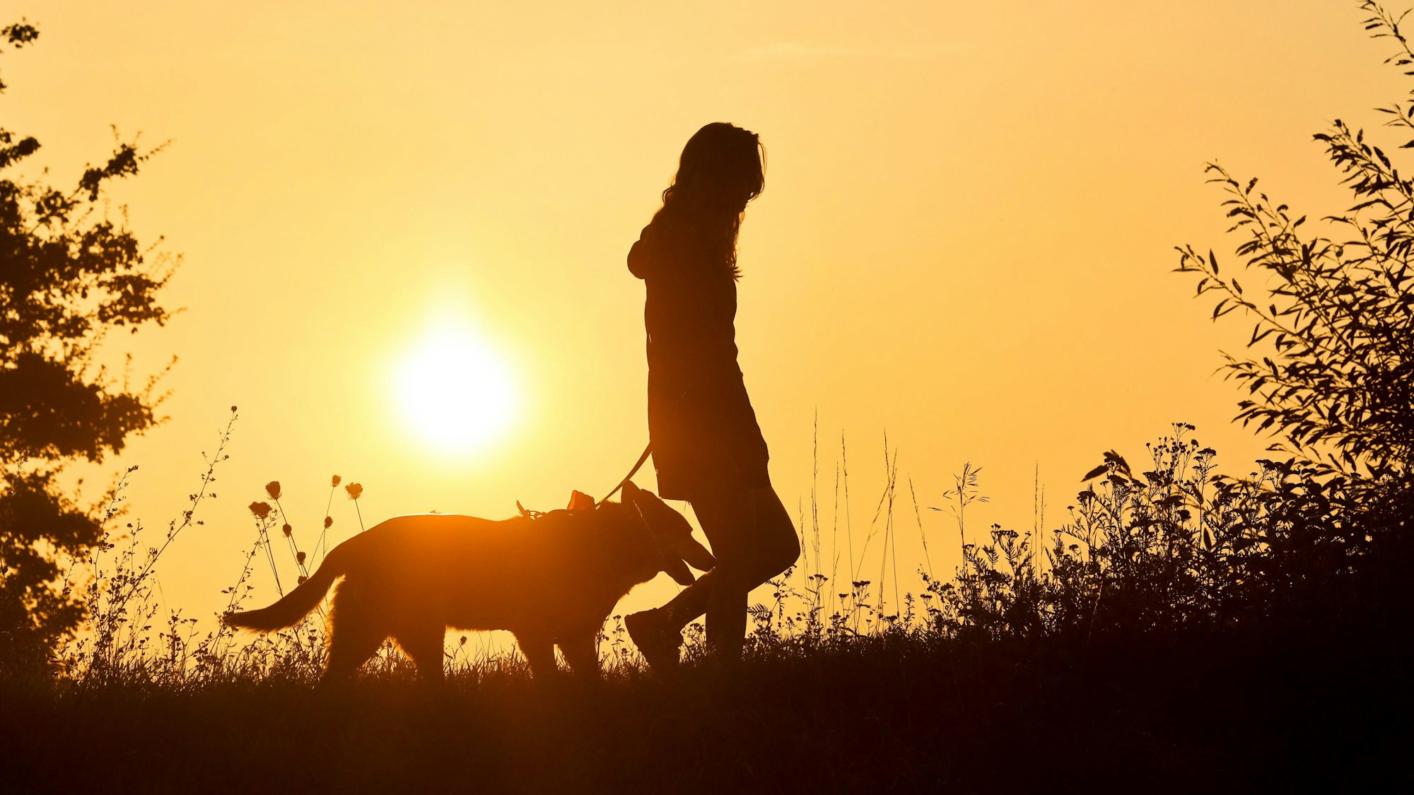 Zu sehen ist eine Frau, mit ihrem Hund am Morgen kurz nach Sonnenaufgang spazieren geht.