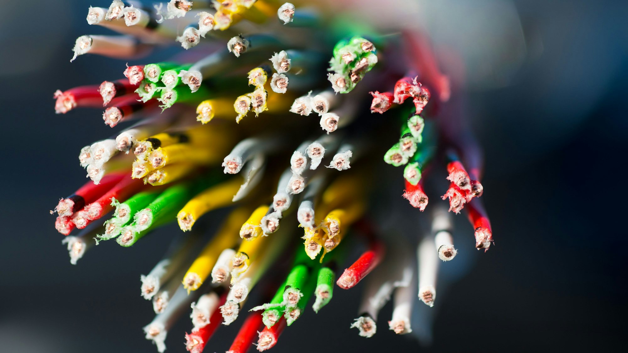 Ein aufgeschnittenes Freileitungs-Telefonkabel zu sehen.