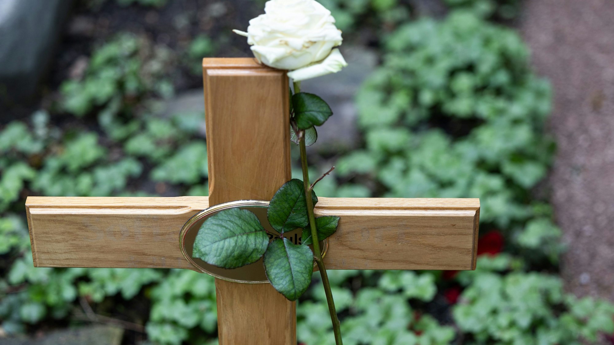 Blick auf ein frisches Grab mit Holzkreuz, an dem eine weiße Rose lehnt.