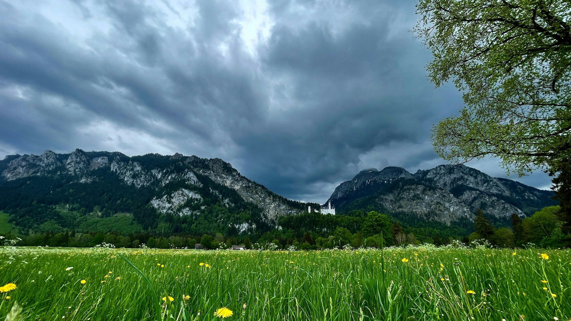 Ein Unwetter zieht über dem Schloss Neuschwanstein und dem Tegelberg herauf.