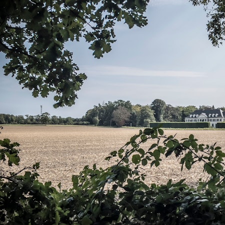 Ein Feld am Stadtrand von Monheim