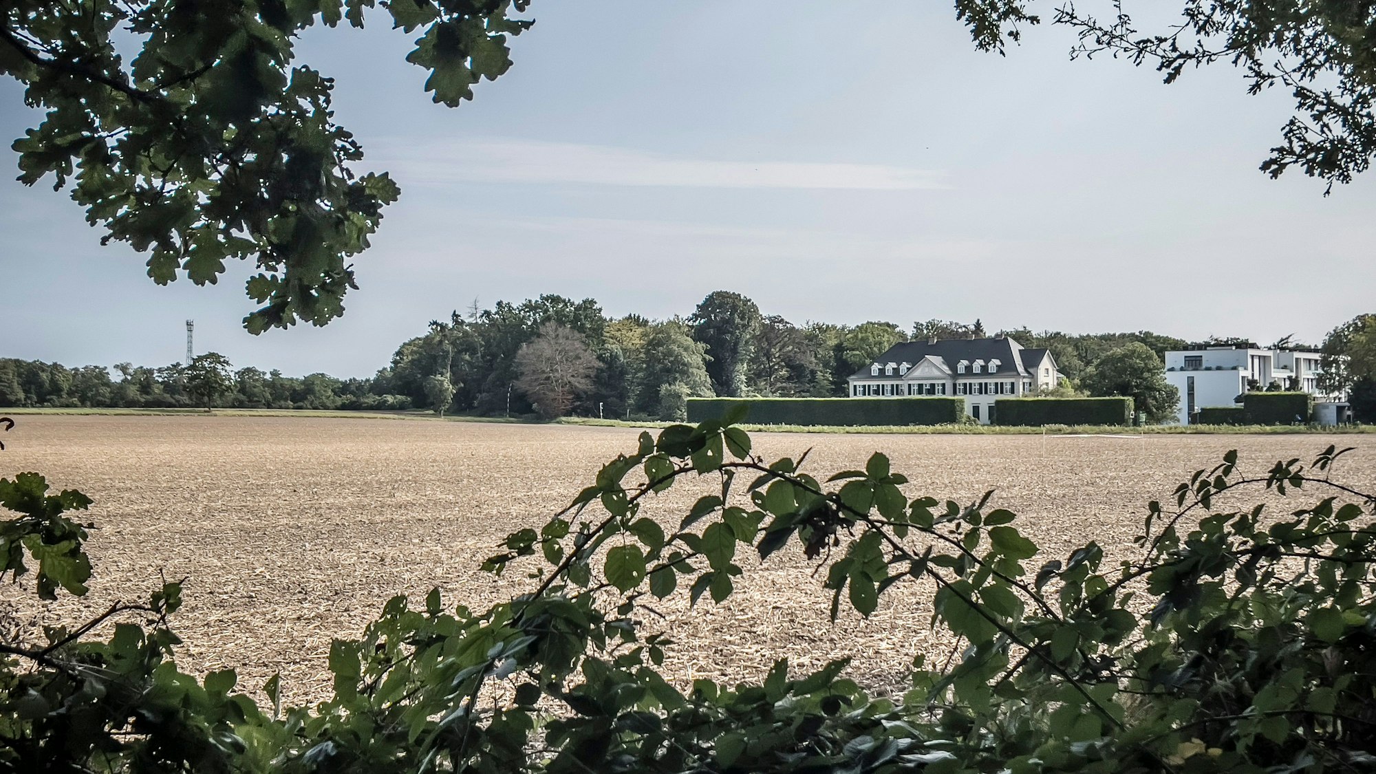 Ein Feld am Stadtrand von Monheim