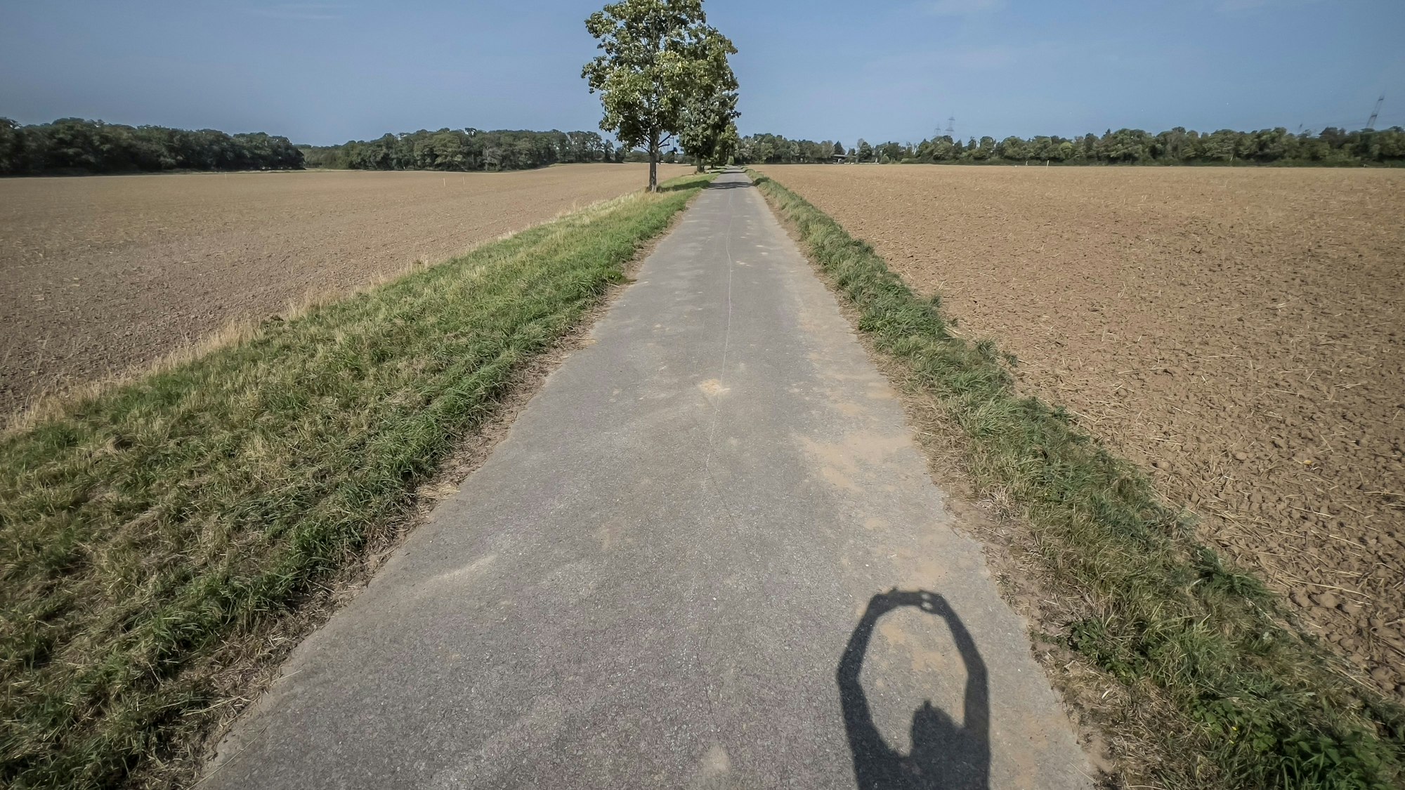 Bayer 04 will am Laacher Hof Trainingsplätze bauen