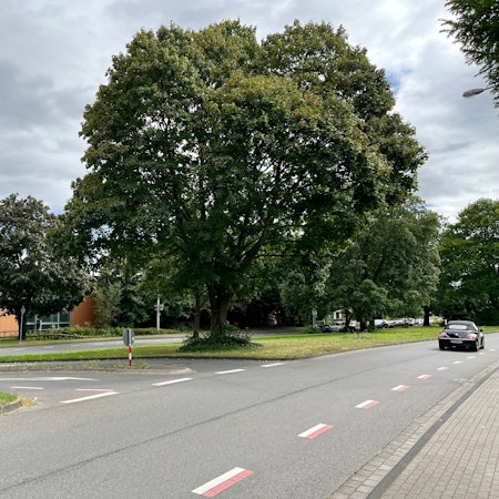 Die Sauerbruchstraße auf Höhe des Klinikums. Dort wurde am 20. September eine junge Frau vergewaltigt.