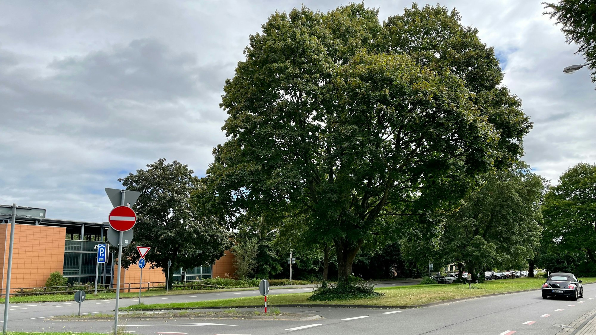 Die Sauerbruchstraße auf Höhe des Klinikums. Dort wurde am 20. September eine junge Frau vergewaltigt.