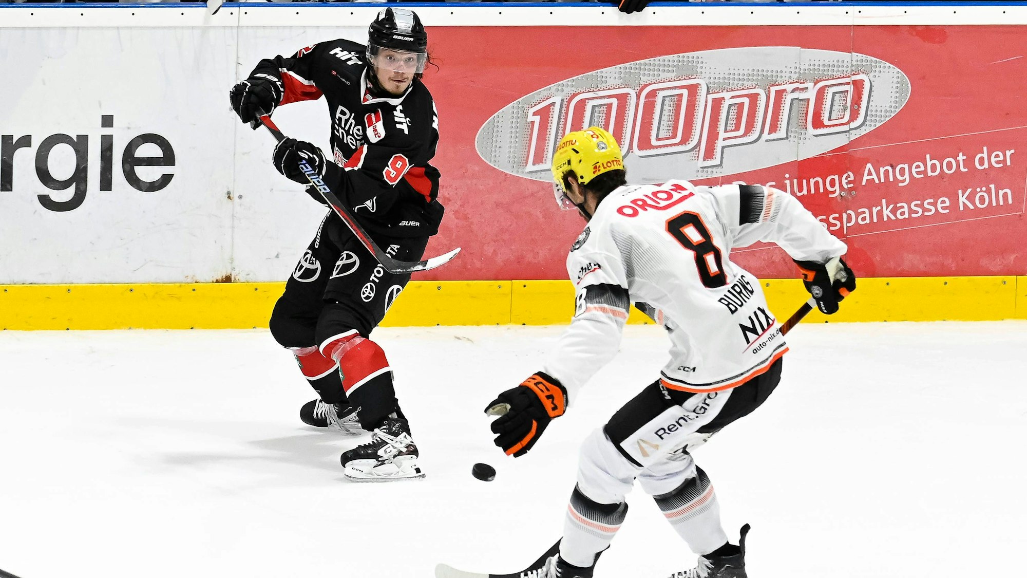 Hakon Hänelt gegen Frankfurts Nathan Burns; die Haie gewannen ihren Test vor 500 Zuschauern in der Kölnarena 2 gegen Frankfurt 2:1.