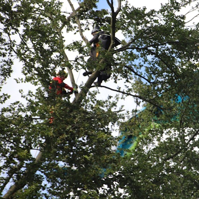 Ein Gleitschirmflieger hängt im Baum, ein Feuerwehrmann ist bei ihm.