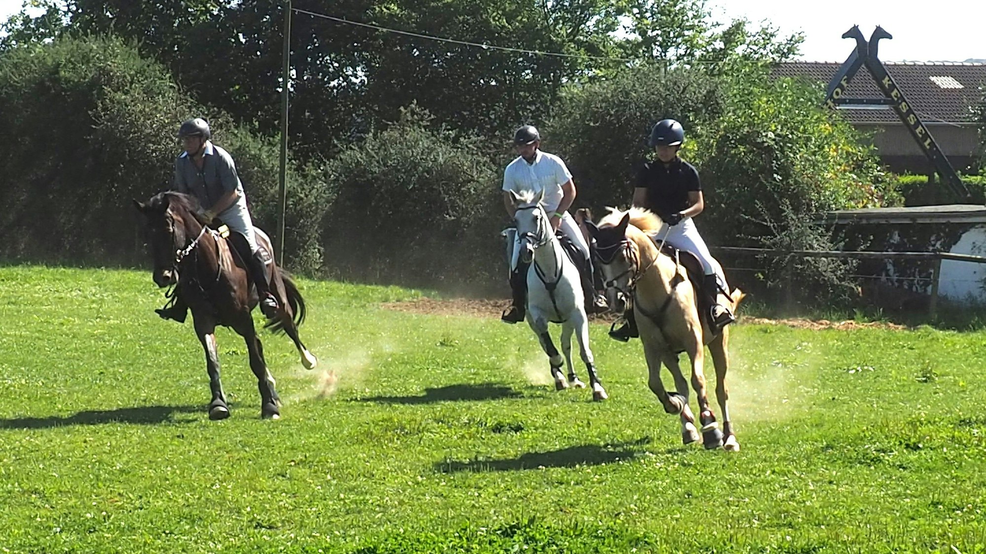 Drei Reiter galoppieren über eine Wiese.