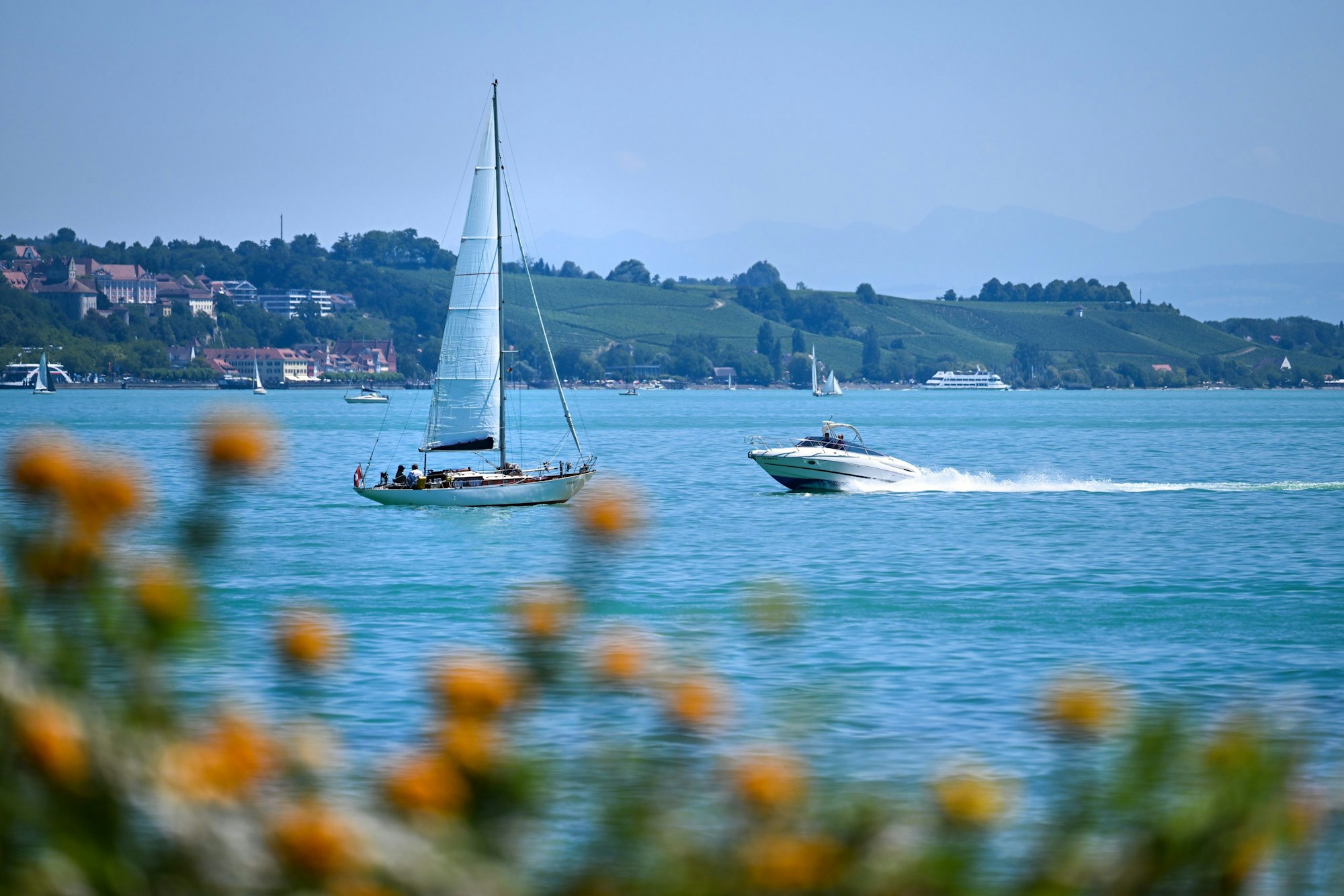 Ein Boot segelt vor der Insel Mainau auf dem Bodensee, während ein Motorboot auf dem smaragdgrünen See entgegen kommt.