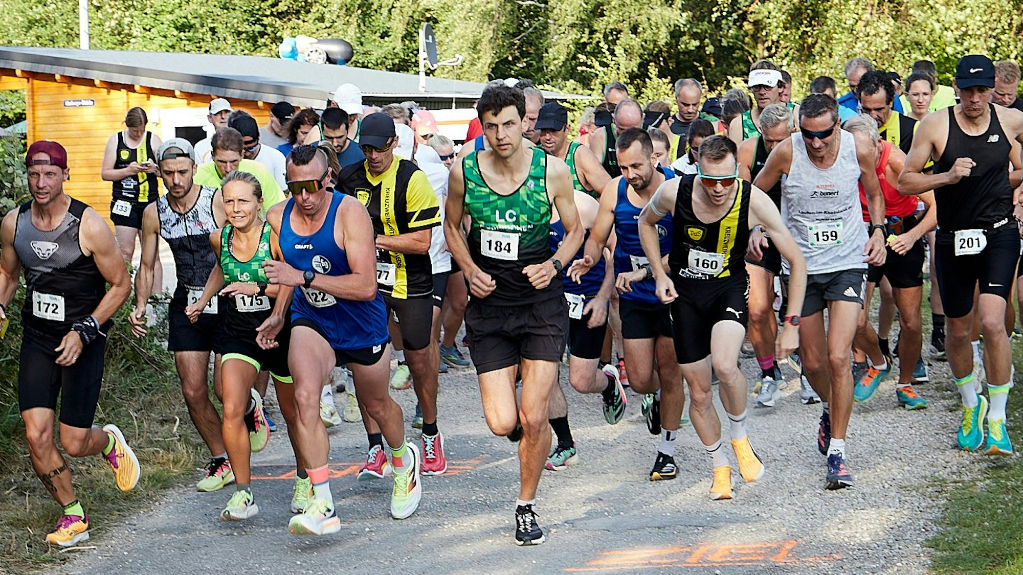 Eine Gruppe Läuferinnen und Läufer startet.