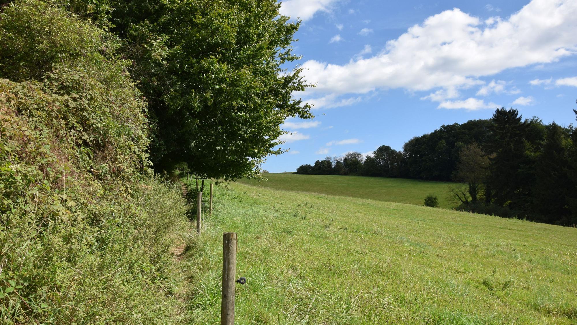Die achte Etappe geht von Thielenbruch bis nach Bensberg, über Felder und durch viel Wald.