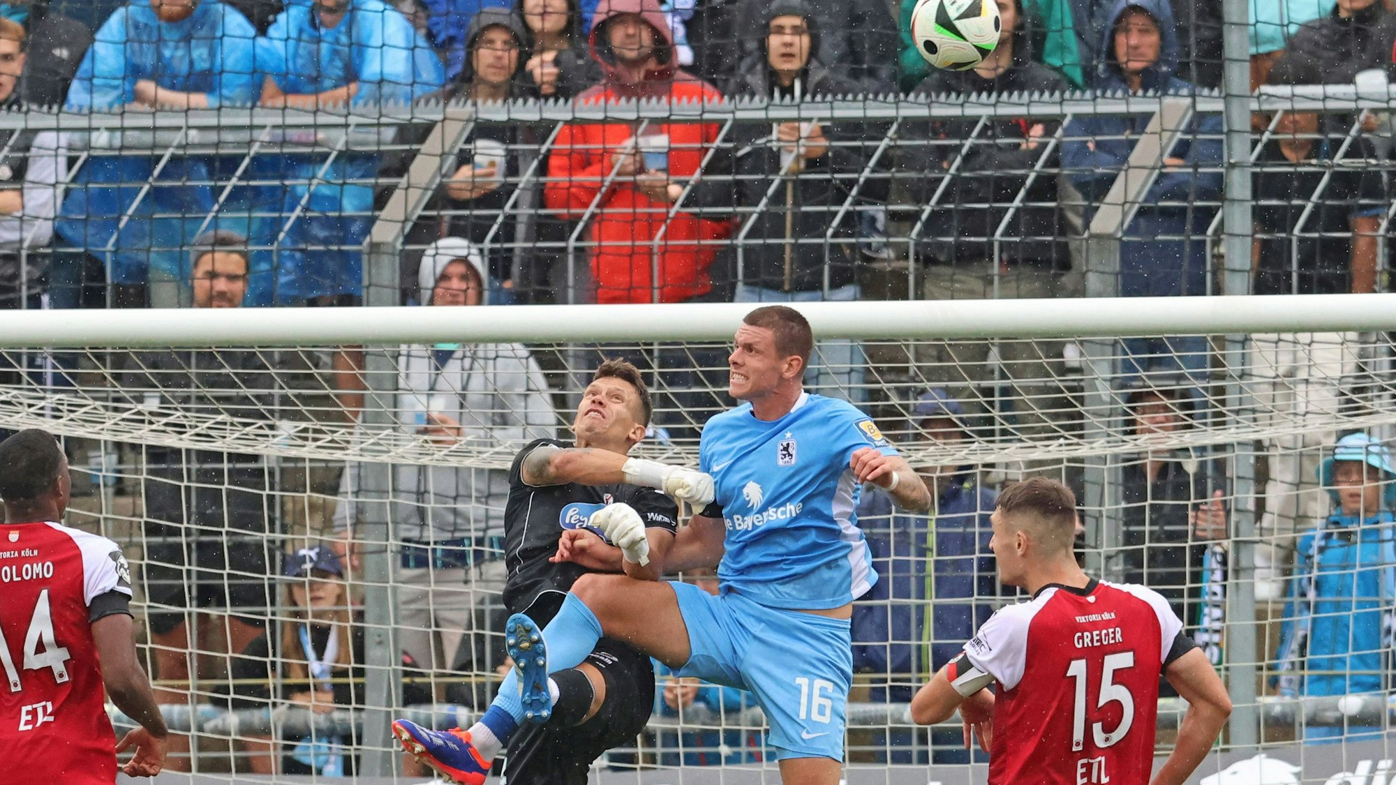 16 Max Reinthaler 1860 gegen Torwart 24 Kevin Rauhut Viktoria Köln Aktion, Zweikampf, Fussball / 3. Liga / TSV 1860 Muenchen - FC Viktoria Köln / Gruenwalderstadion / 25.08.2024 / FOTO: Mladen Lackovic / LakoPress *** 16 Max Reinthaler 1860 against goalkeeper 24 Kevin Rauhut Viktoria Köln Action, duel, football 3 Liga TSV 1860 Muenchen FC Viktoria Köln Gruenwalderstadion 25 08 2024 PHOTO Mladen Lackovic LakoPress