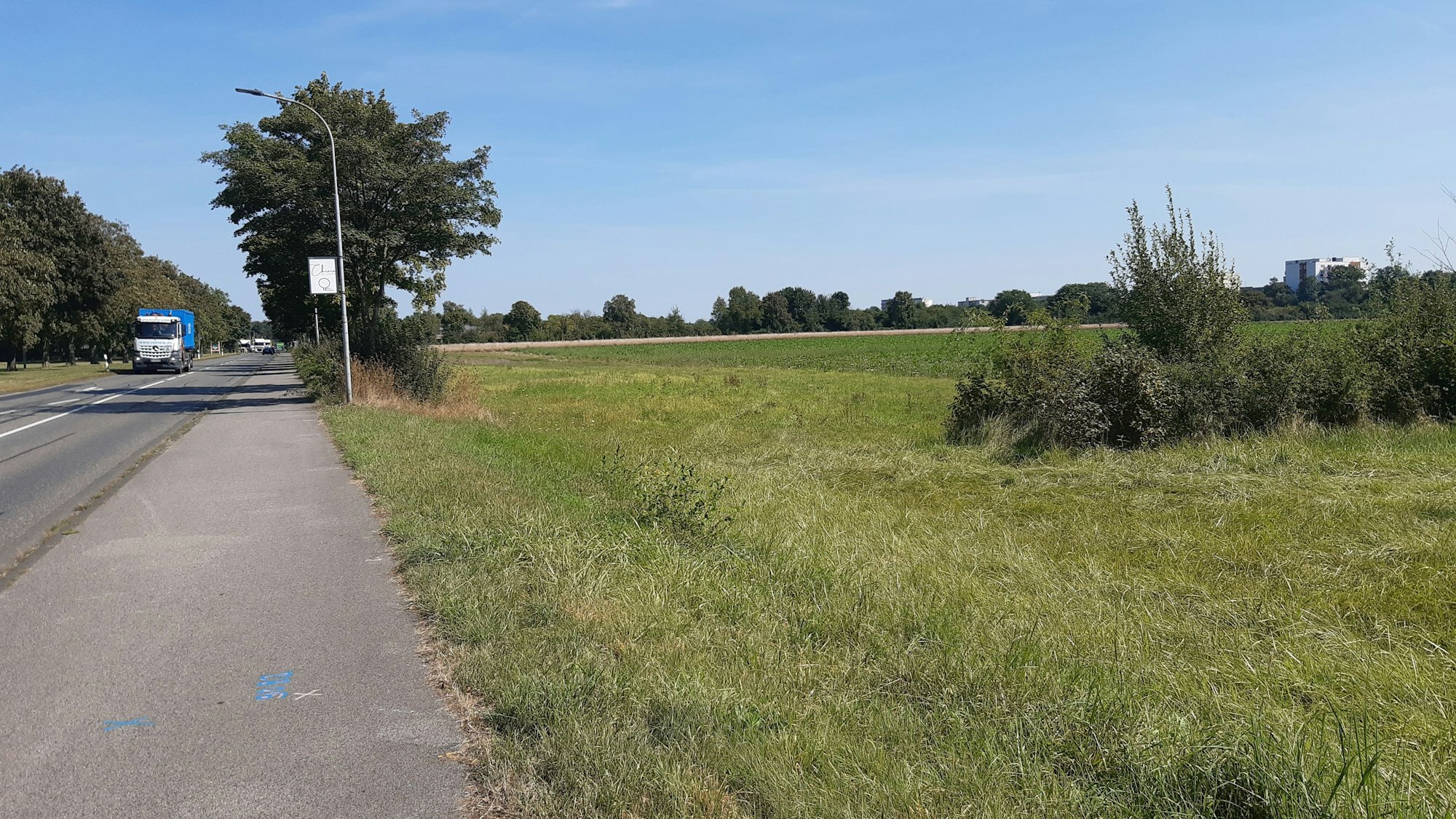 Das Foto zeigt eine Wiese an einer Straße.