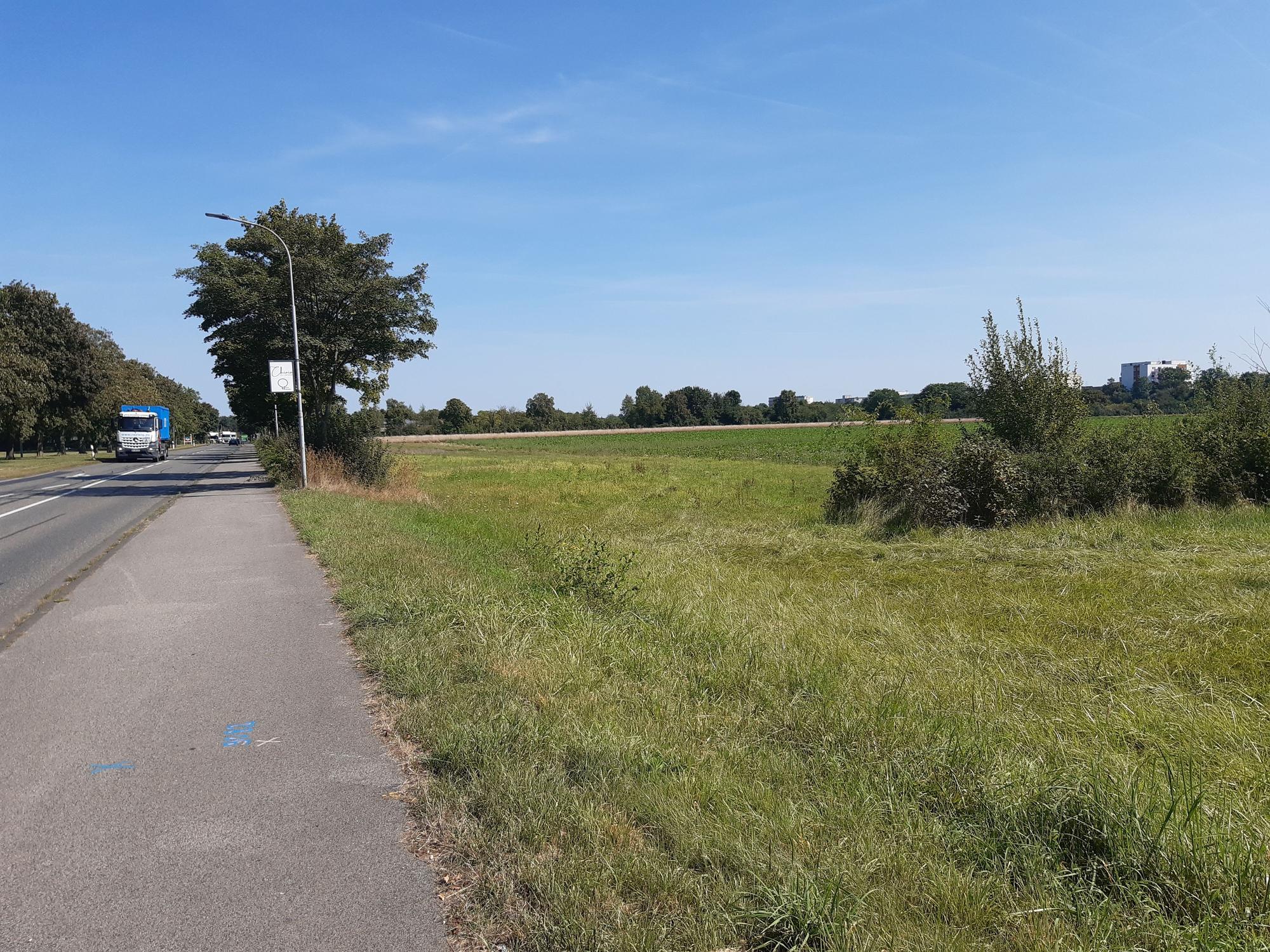 Das Bild zeigt eine Wiese, in der die Unterbringung gebaut werden soll. Links im Bild ein Bürgersteig und die Straße.