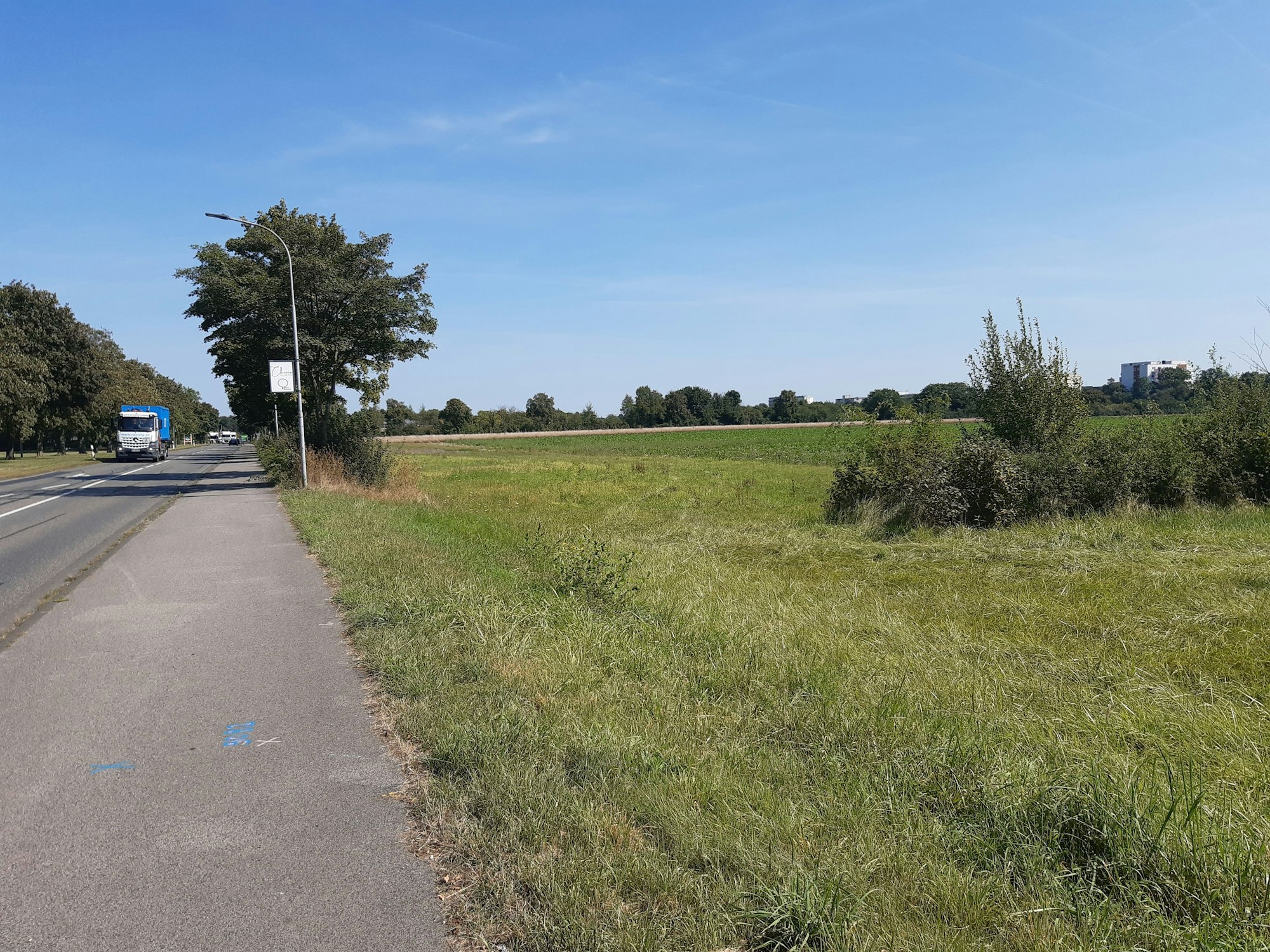Das Bild zeigt eine Wiese, in der die Unterbringung gebaut werden soll. Links im Bild ein Bürgersteig und die Straße.