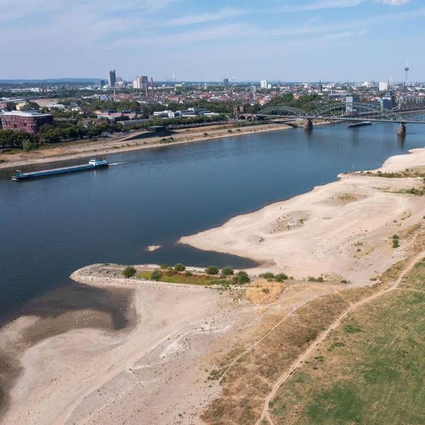 Extremes Niedrigwasser am Rhein im Sommer 2022