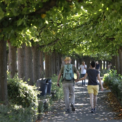 Ein Paar auf dem Fußweg der Lindenallee an der Rheinpromenade.