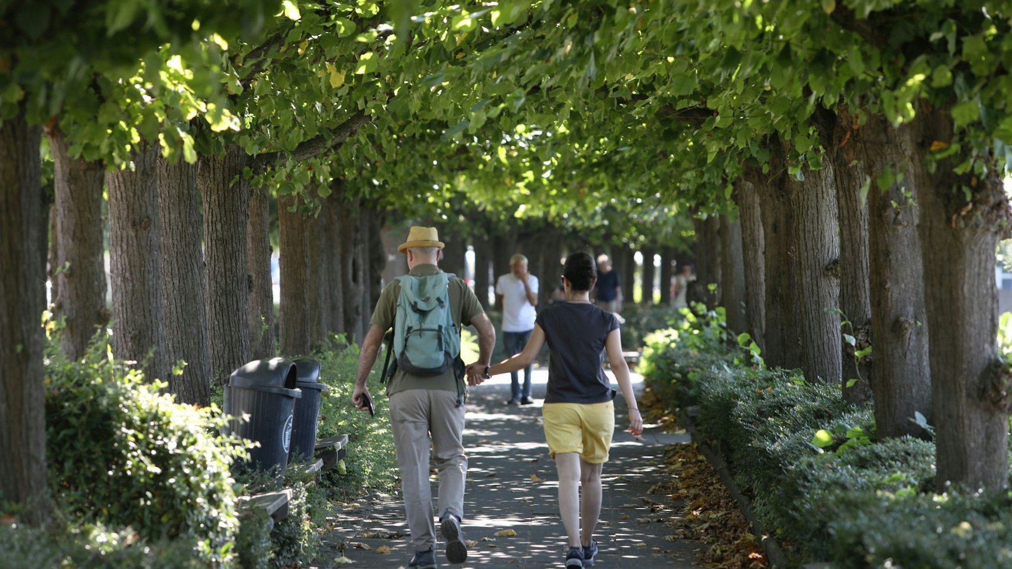 Ein Paar auf dem Fußweg der Lindenallee an der Rheinpromenade.