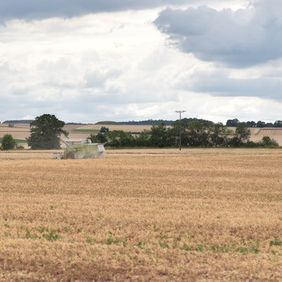 Ein Mähdrescher fährt über ein Feld, das schon weitgehend abgeerntet ist.