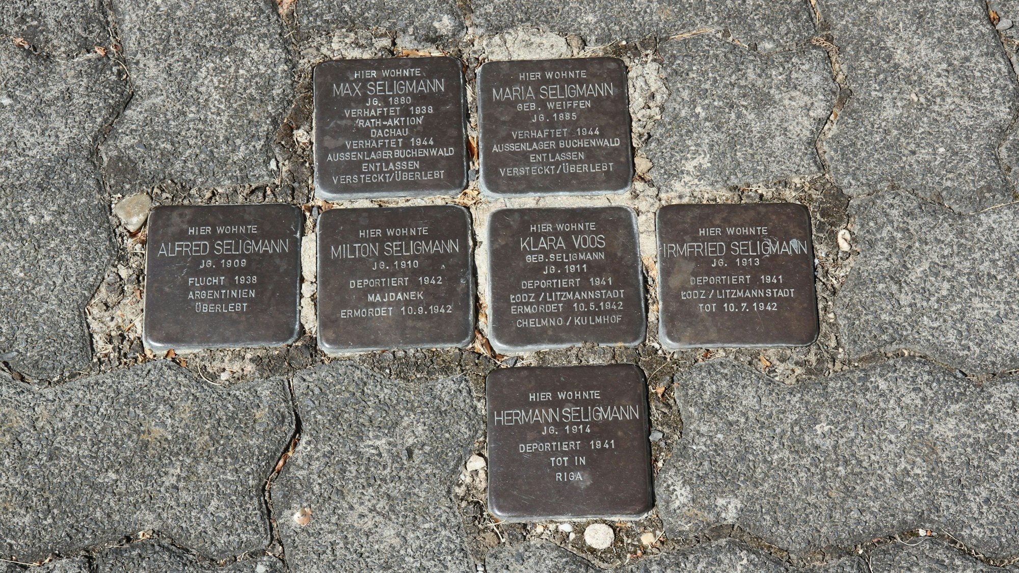 Sieben Stolpersteine zur Erinnerung an jüdische Opfer der NS-Diktatur zwischen Pflastersteinen