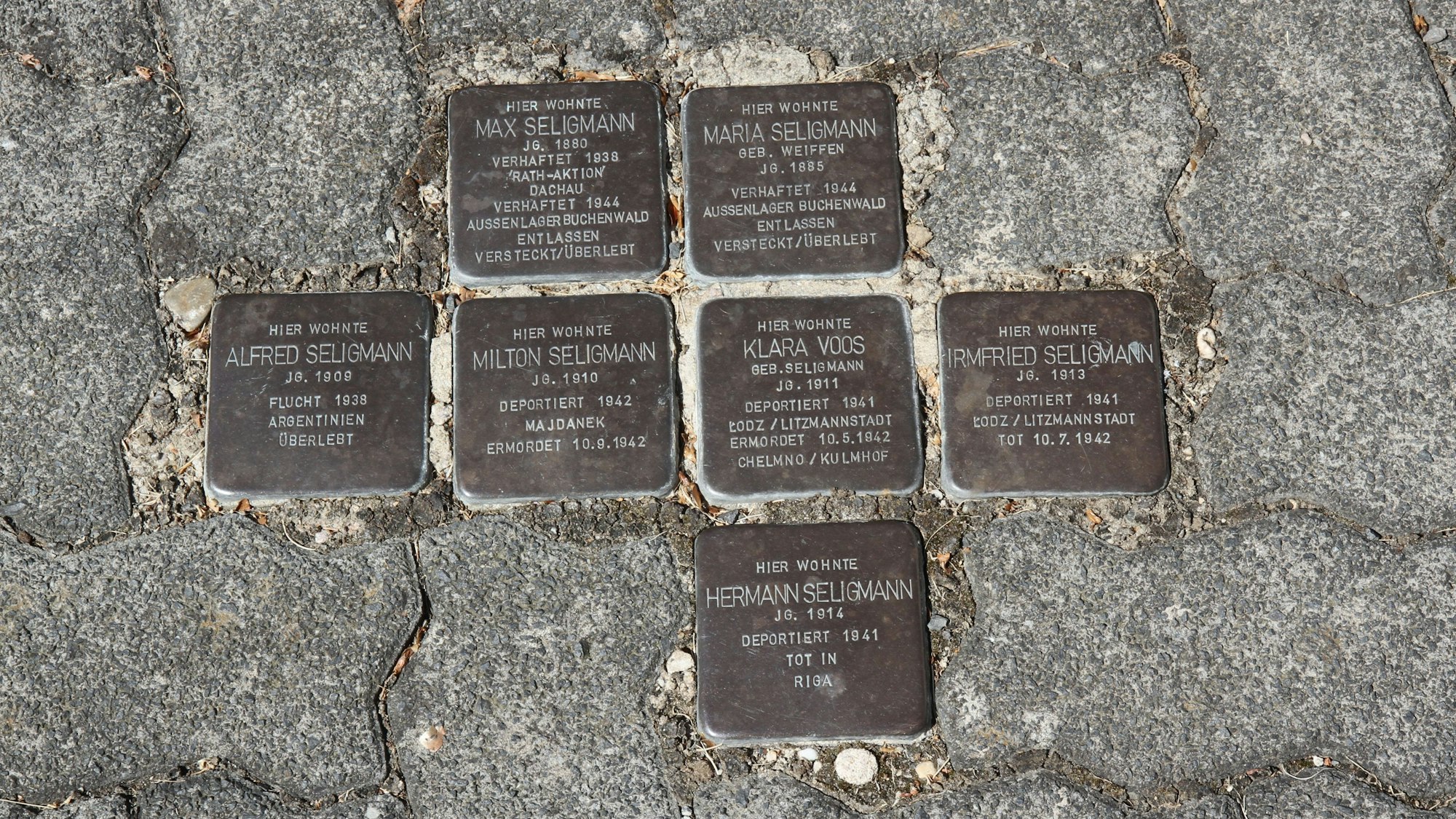 Sieben Stolpersteine zur Erinnerung an jüdische Opfer der NS-Diktatur zwischen Pflastersteinen