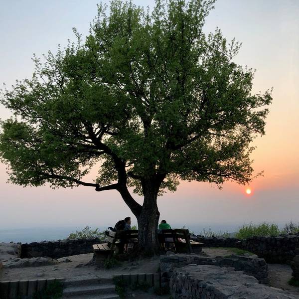 Sonnenuntergang auf der Löwenburg.