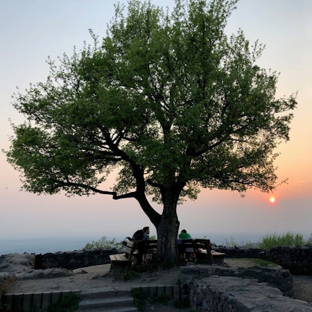 Sonnenuntergang auf der Löwenburg.