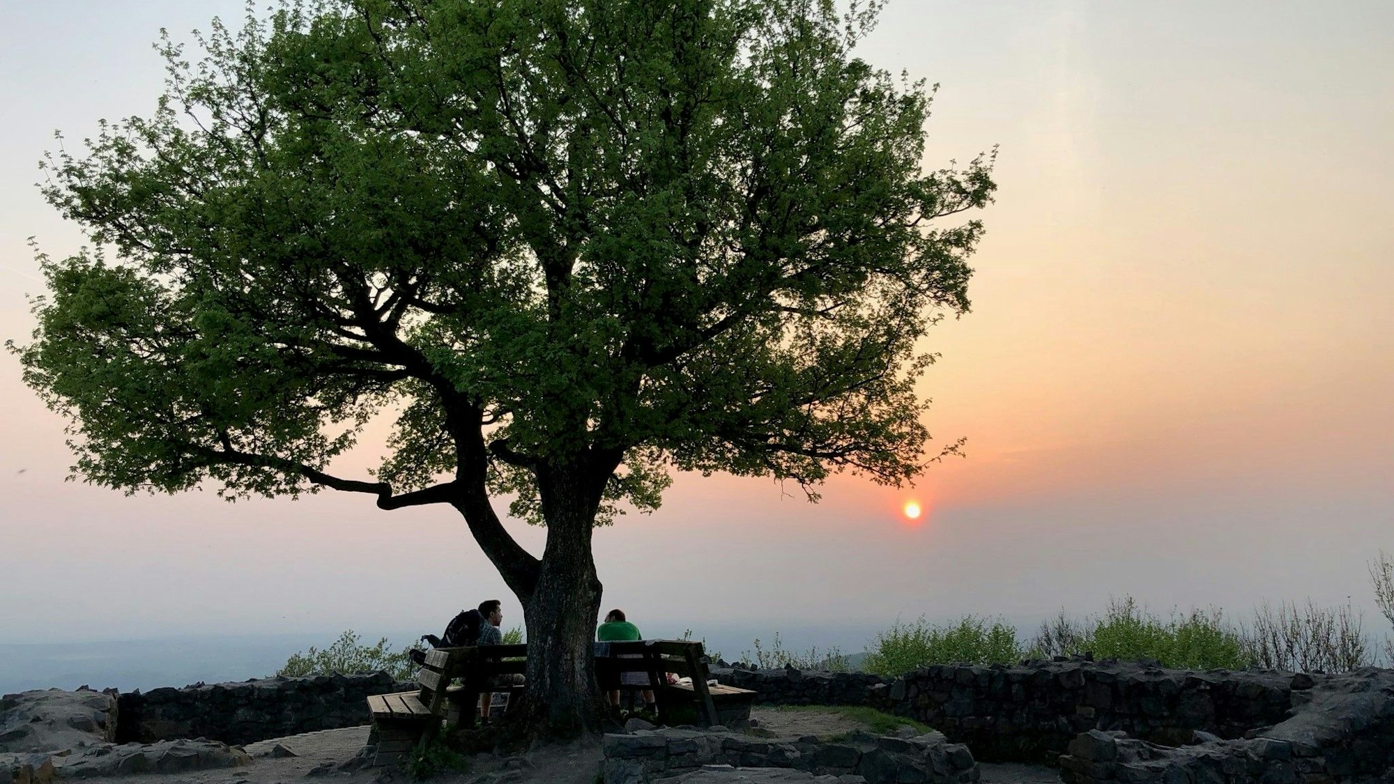 Sonnenuntergang auf der Löwenburg.