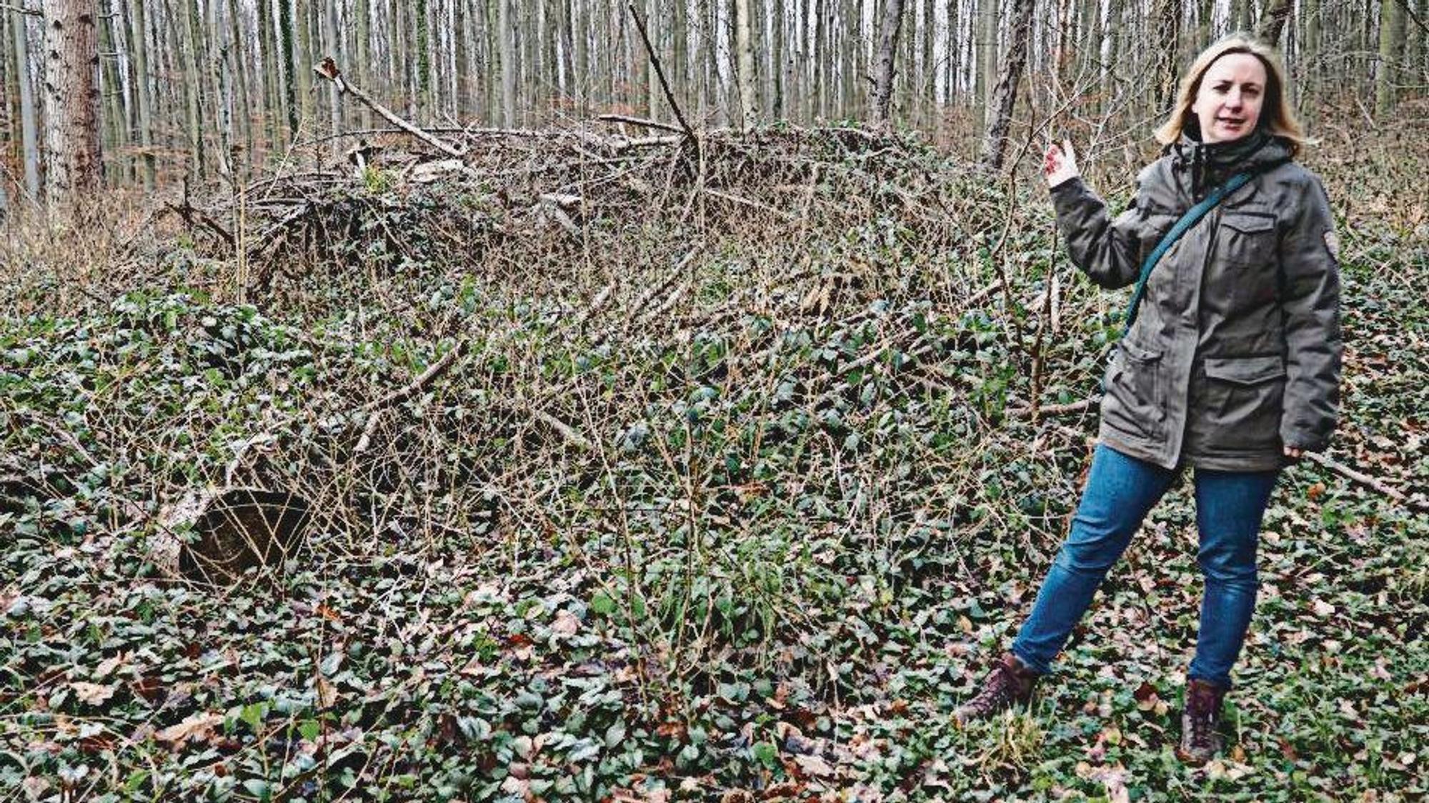 Die Biologin Christine Thiel-Bender steht in einem Wald und erklärt, wo sich Wildkatzen wohlfühlen.