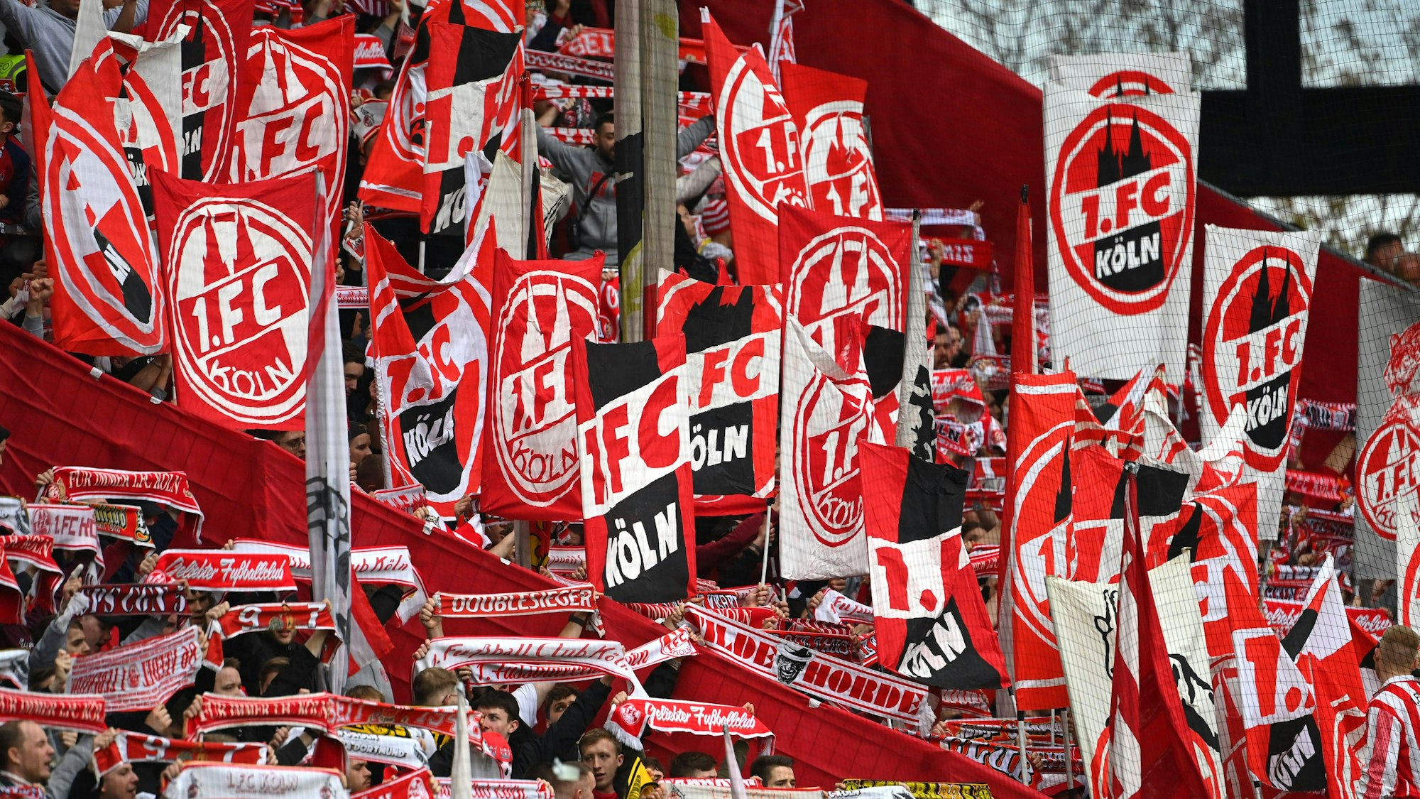 Die Fans des 1. FC Köln sind überall zahlreich vertreten.