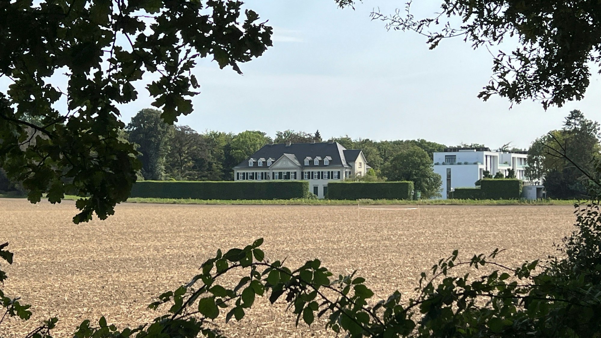 Bayer 04 will am Laacher Hof Trainingsplätze bauen