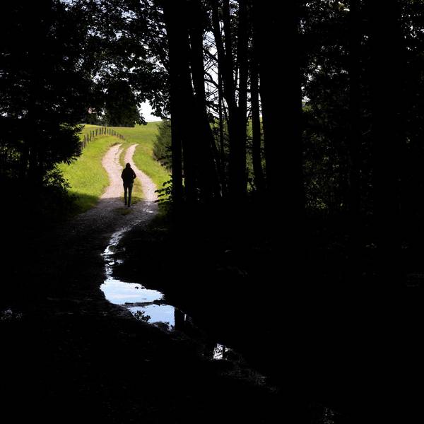 Eine Frau spaziert im Sonnenschein auf einem Feldweg der in einem Wald mit Regenpfützen bedeckt ist.
