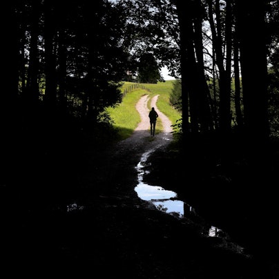 Eine Frau spaziert im Sonnenschein auf einem Feldweg der in einem Wald mit Regenpfützen bedeckt ist.