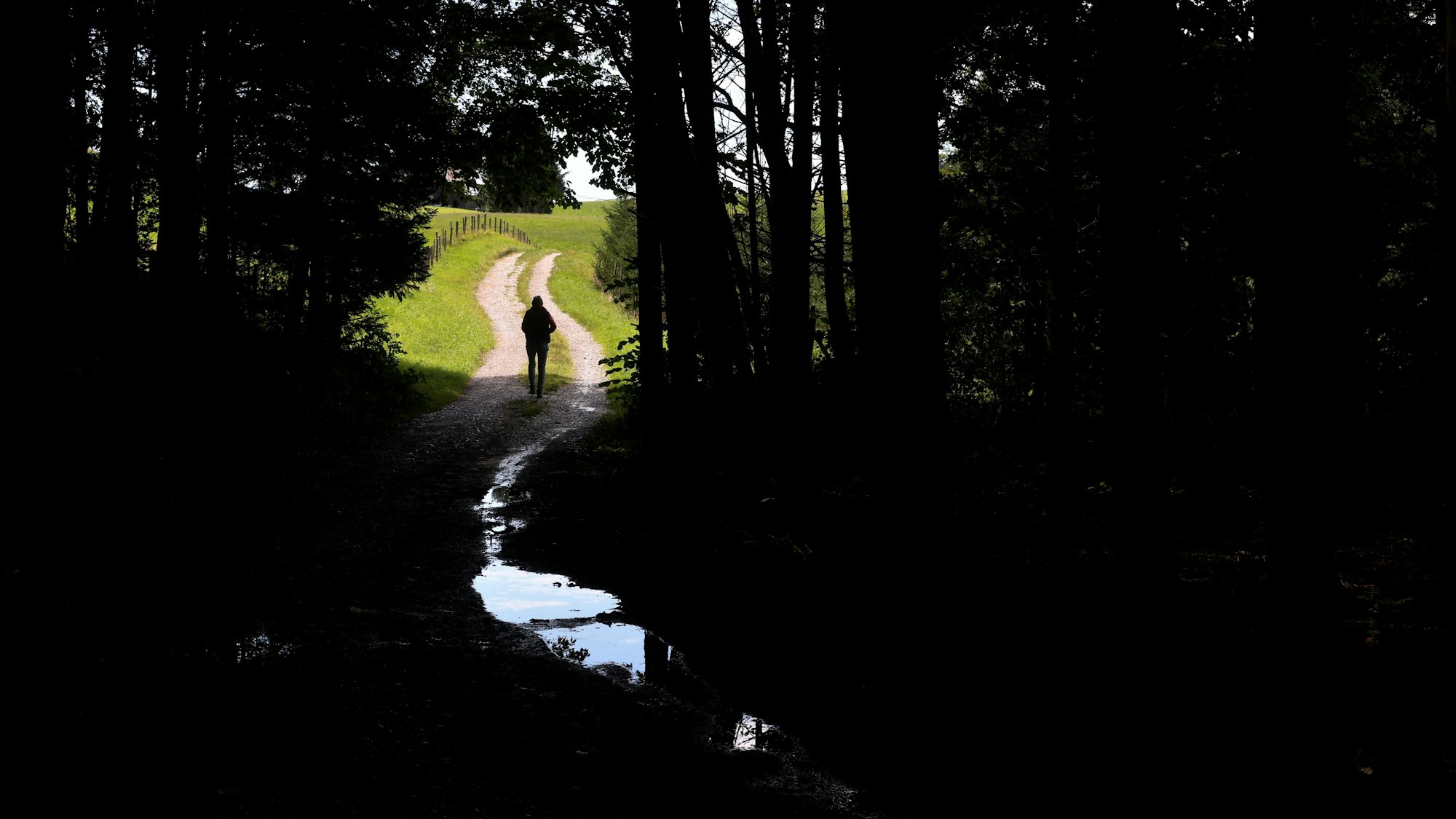 Eine Frau spaziert im Sonnenschein auf einem Feldweg der in einem Wald mit Regenpfützen bedeckt ist.