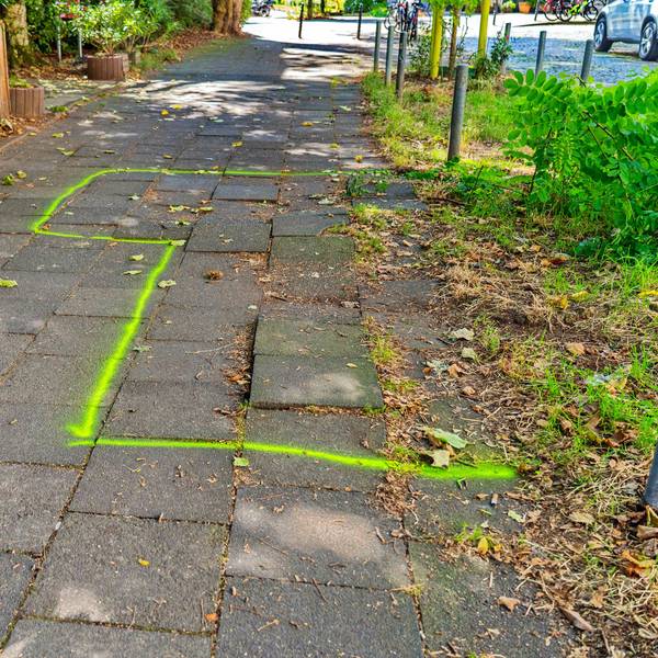 Die Baumwurzeln haben Gehwegplatten angehoben. Die gefährliche Stolperstelle wurde am 27. August von der Stadt markiert.