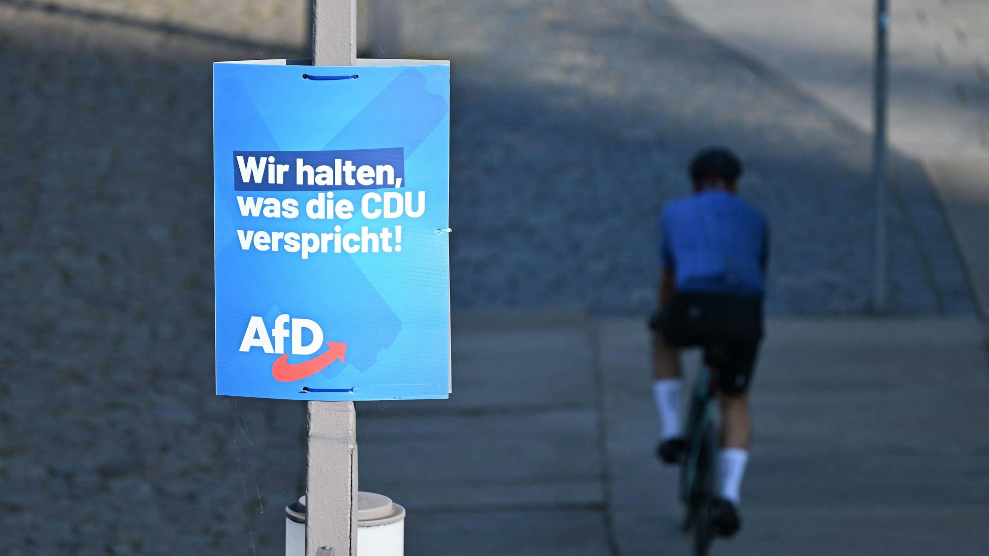 Ein Wahlplakat der AfD