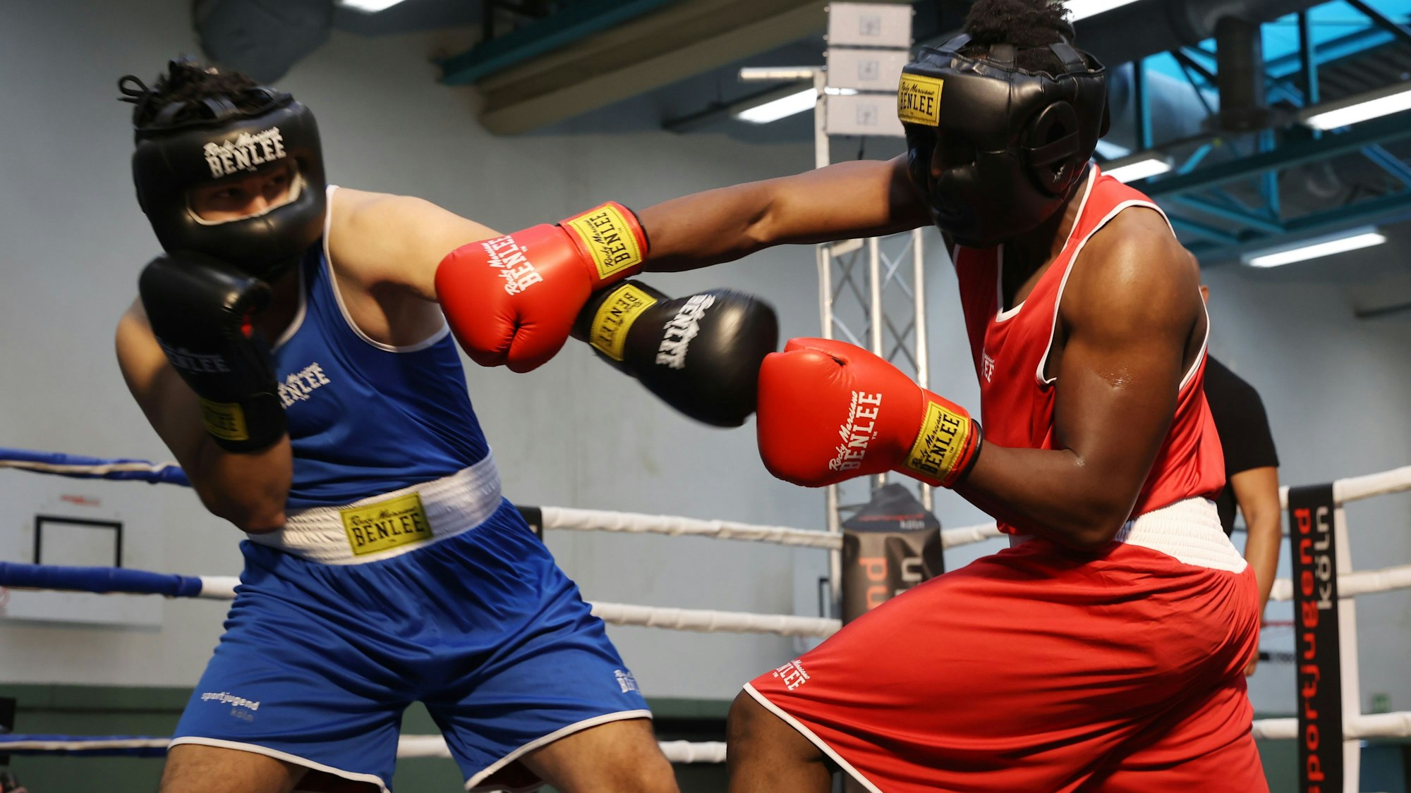 Kölner Jugendliche treten beim Box-Event gegeneinander an.
