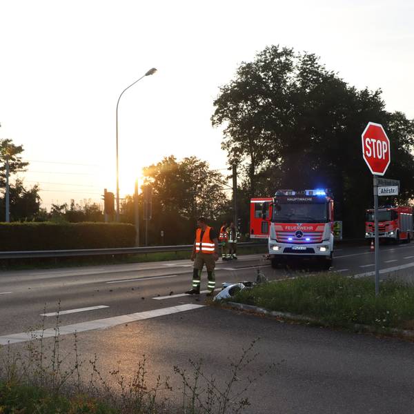 Auf dem Bild ist die Unfallstelle mit den Einsatzkräften zu sehen.