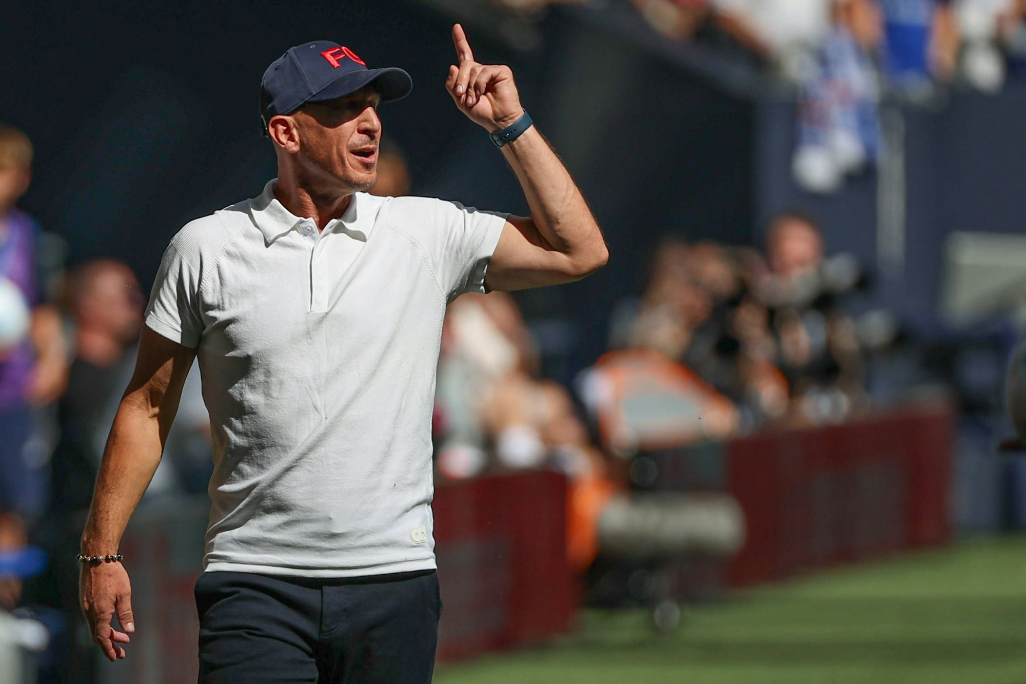 2. Bundesliga - FC Schalke 04 - 1. FC Köln am 01.09.2024 in der Veltins-Arena auf Schalke Trainer / Head Coach Gerhard Struber Koeln gestikuliert *** 2 Bundesliga FC Schalke 04 1 FC Köln on 01 09 2024 at the Veltins Arena in Schalke Coach Head Coach Gerhard Struber Koeln gestures MH