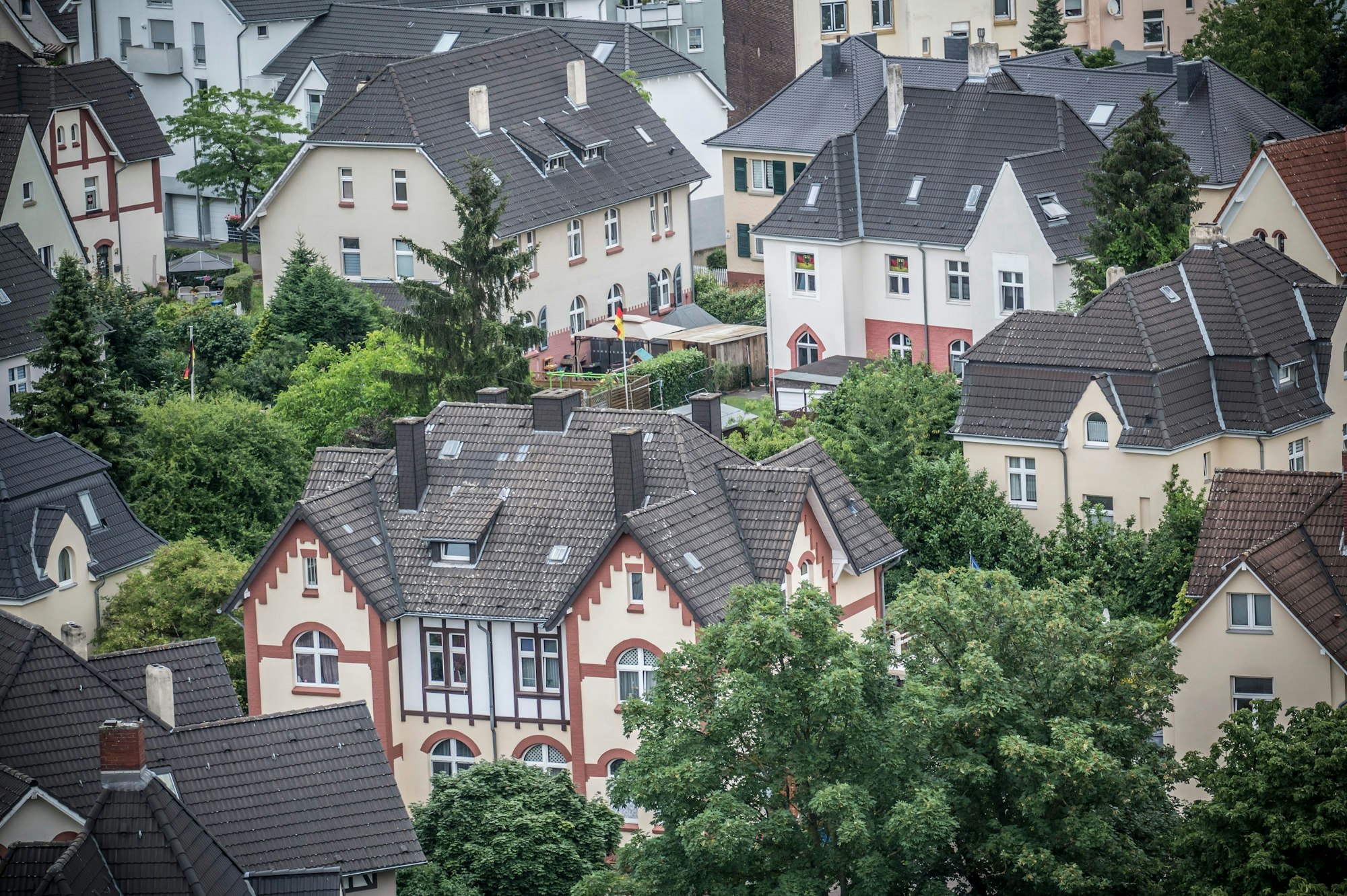 Die Kolonie II