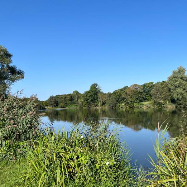 See mit Naturschutzgebiet.
