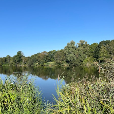 See mit Naturschutzgebiet.