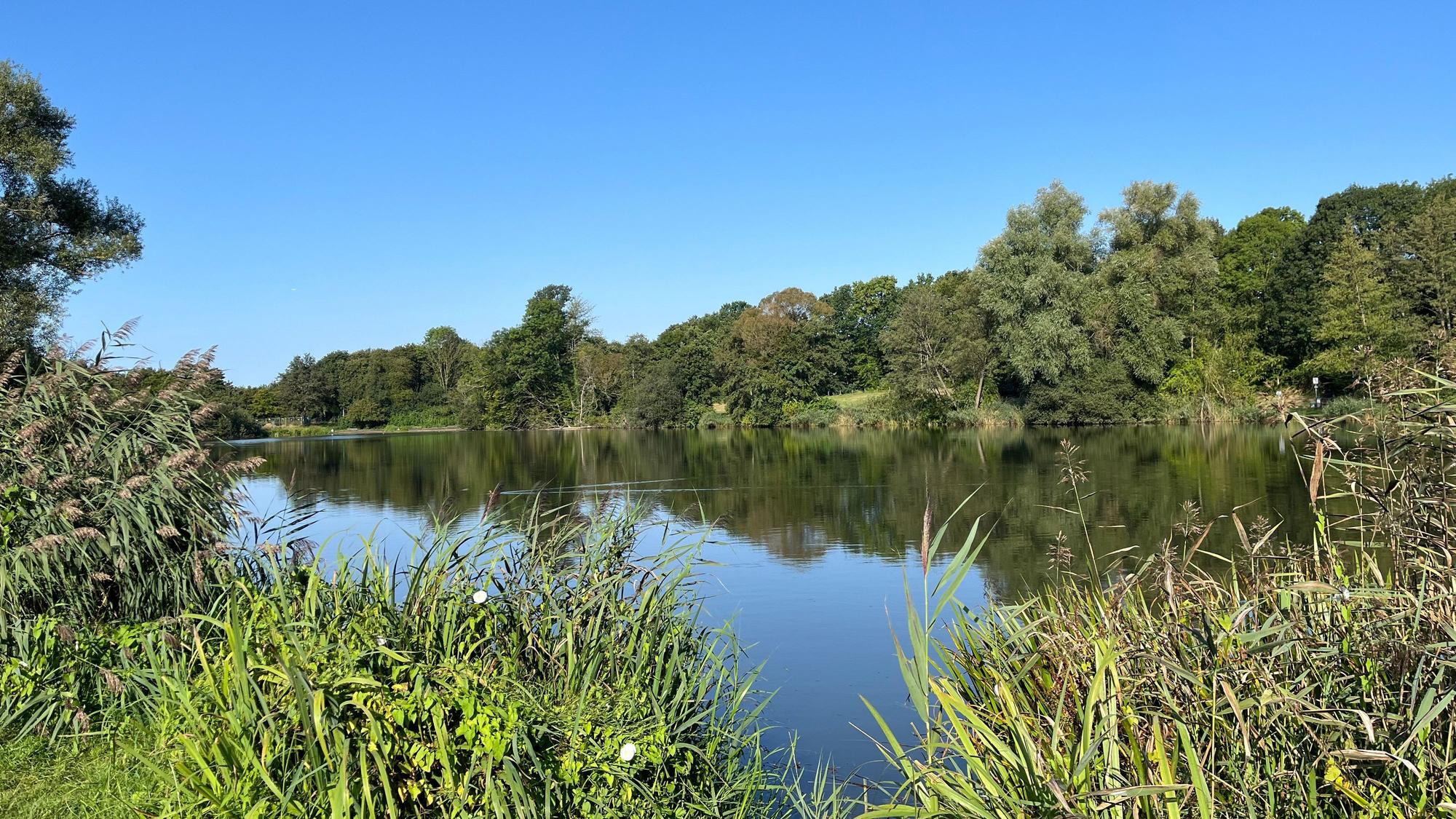 See mit Naturschutzgebiet.