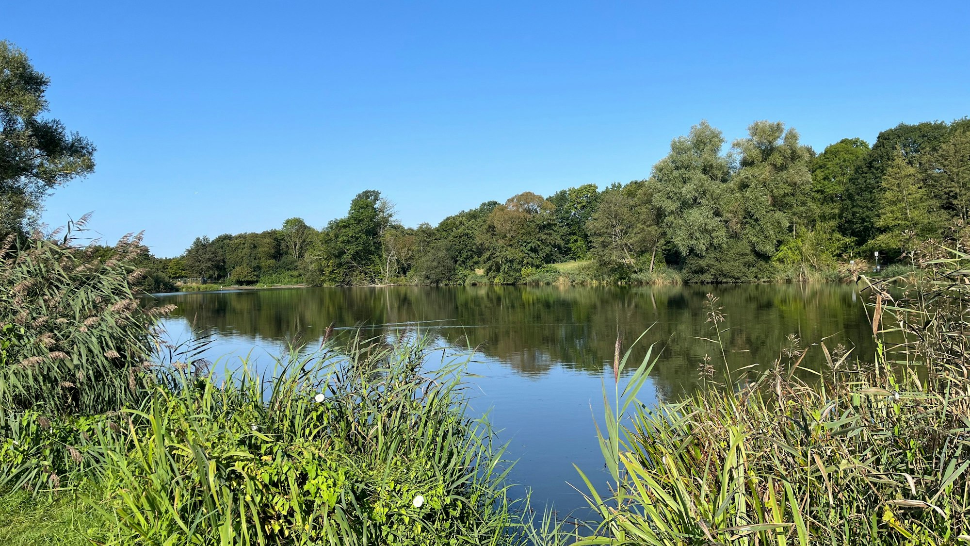 See mit Naturschutzgebiet.