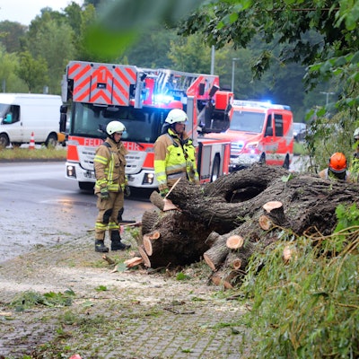 Feuerwehrleute zersägen einen Baum in der Bergisch Gladbacher Stadtmitte.