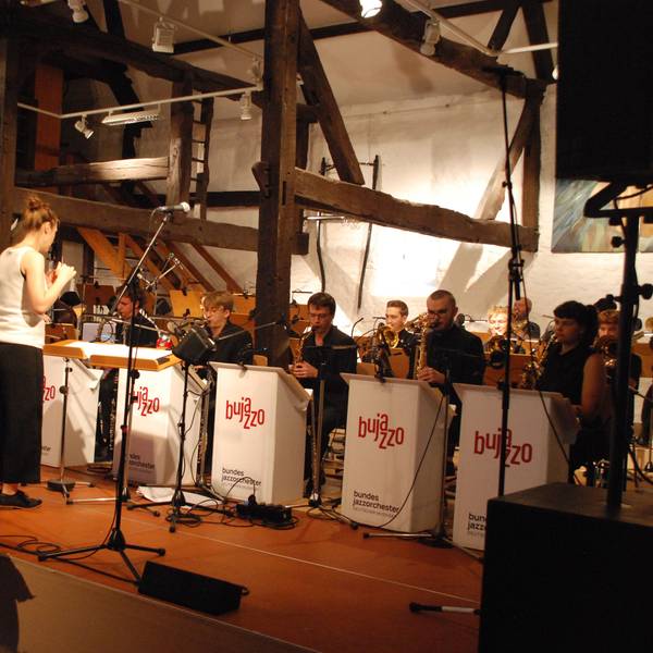 Blick auf die Musiker des das Bundesjazzorchesters.