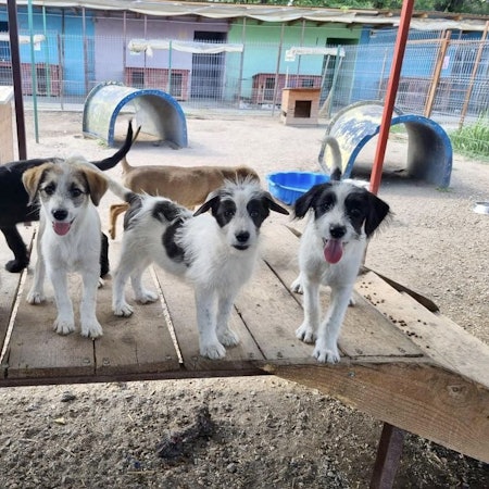 Zu sehen ist ein weißes Gebäude, dessen Obergeschoss mit Holz verkleidet ist.